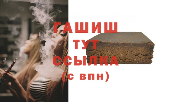 гашик Алексин