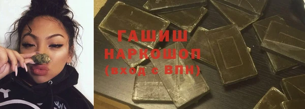 гашик Алексин