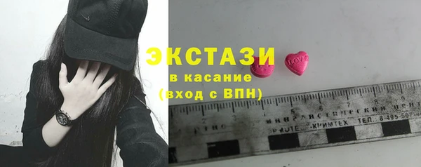 гашик Алексин