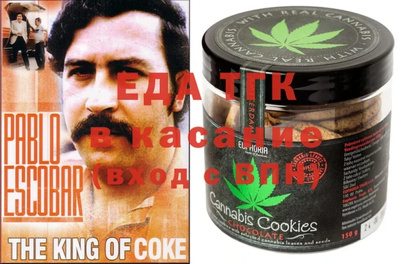 гашик Алексин