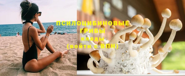 ПСИЛОЦИБИНОВЫЕ ГРИБЫ Алексеевка