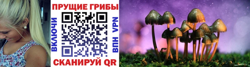 Псилоцибиновые грибы мухоморы  как найти наркотики  Янаул 